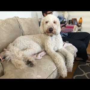 Meet your Posher, Phuong